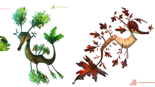 These Stunning Illustrated Sea Dragons Are Part Fish and Part Tree